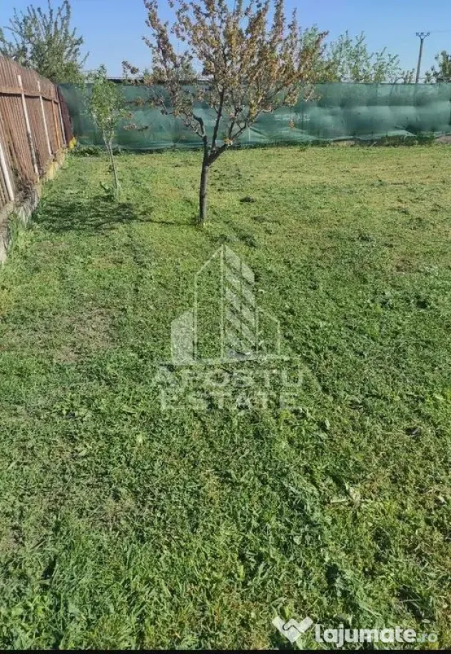 Teren intravilan in Sofronea - Sofronea (Arad)