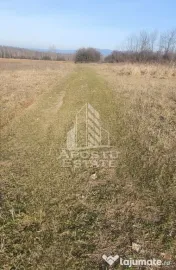 TEREN AGRICOL 1,524 HA, LA DOAR 10.000€ Comision Zero % 