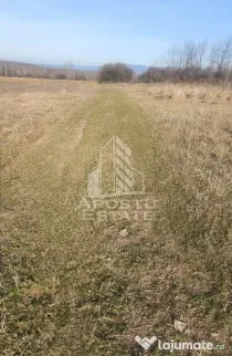 TEREN AGRICOL 1,524 HA, LA DOAR 10.000€ Comision Zero %