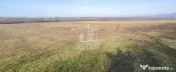 TEREN AGRICOL 1,524 HA, LA DOAR 10.000€ Comision Zero % 