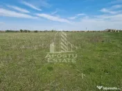 Teren intravilan de vânzare – Sânnicolau Mare, județul Timiș 