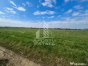 Teren intravilan de vânzare – Sânnicolau Mare, județul Timiș 