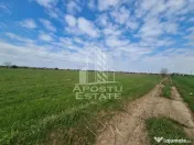 Teren intravilan de vânzare – Sânnicolau Mare, județul Timiș 