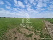 Teren intravilan de vânzare – Sânnicolau Mare, județul Timiș 