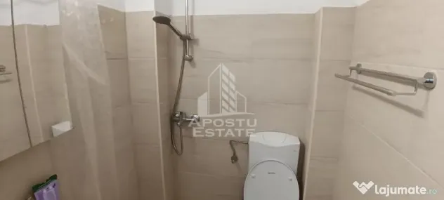 Garsoniera de inchiriat, zona Lipovei Timisoara - Timisoara (Timis)