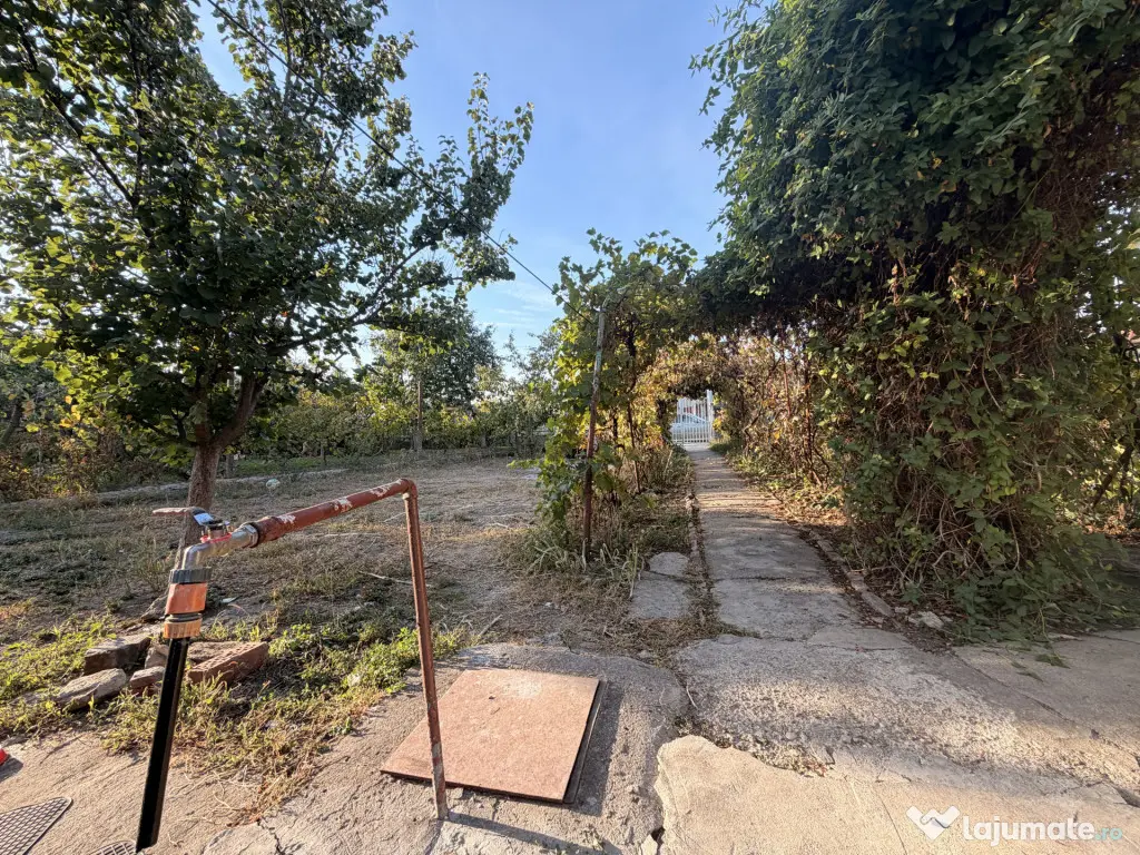 Casa individuala 110 mp utili, 1487 mp teren - Zona Blascovi - Timisoara (Timis)