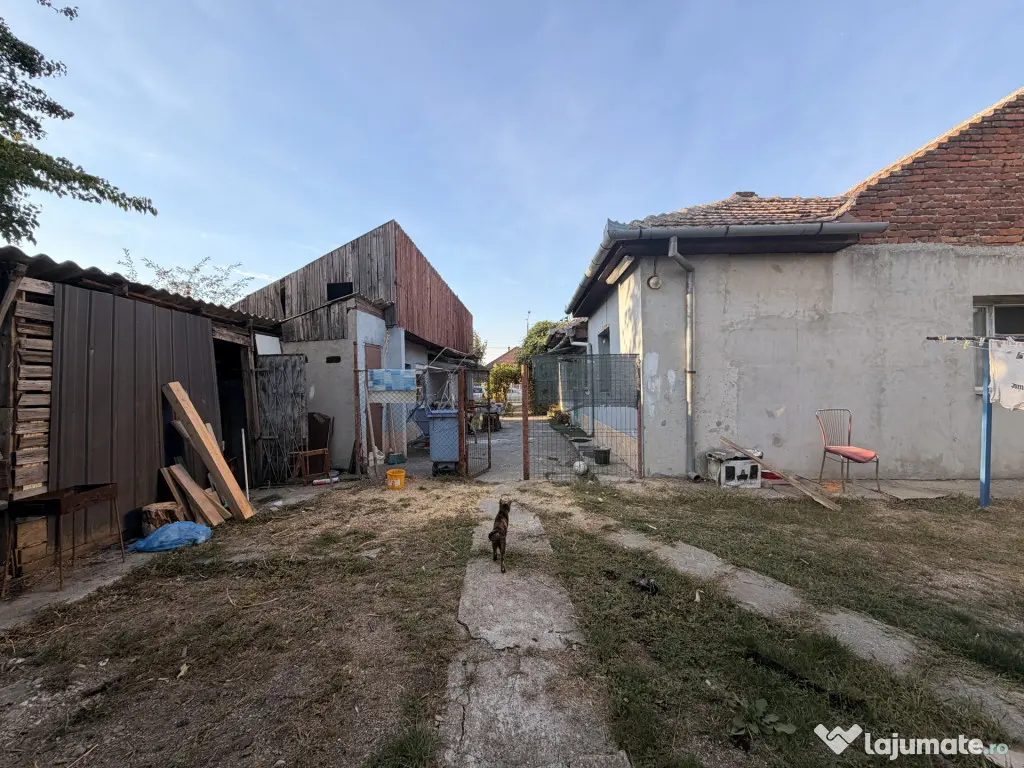 Casa individuala 110 mp utili, 1487 mp teren - Zona Blascovi - Timisoara (Timis)