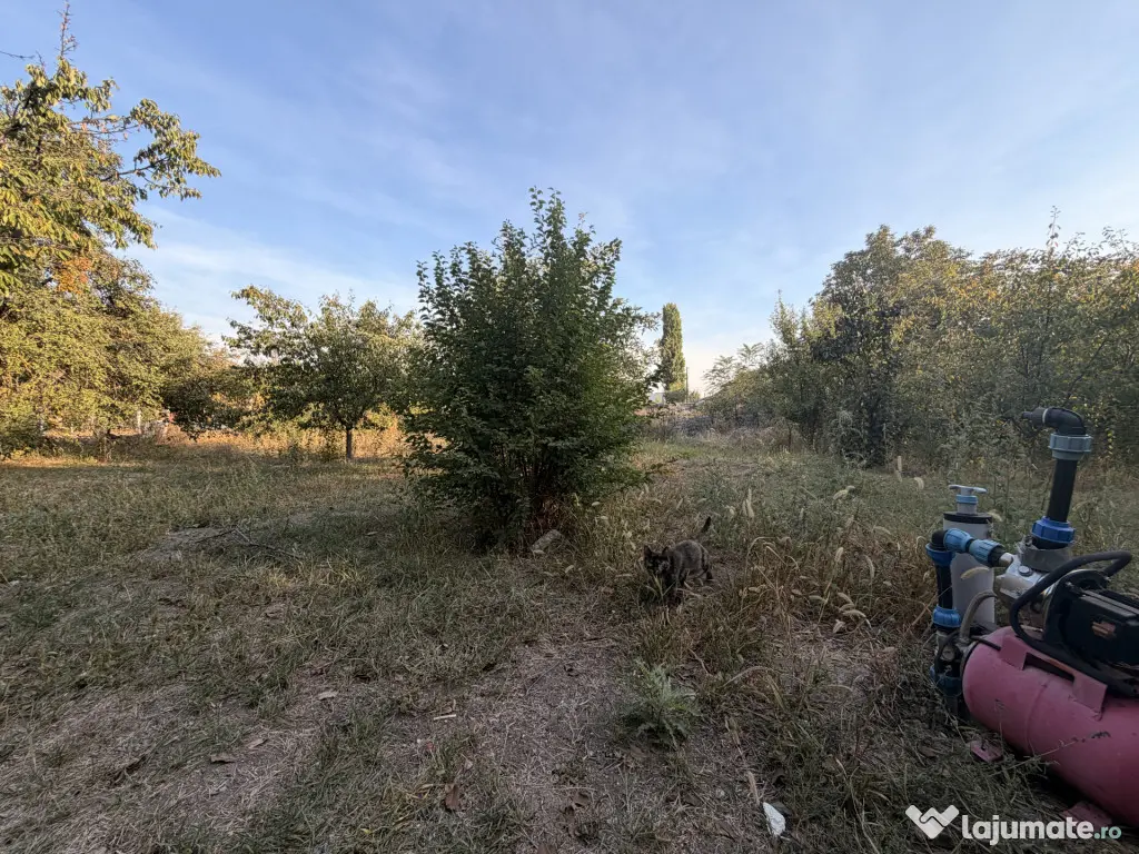 Casa individuala 110 mp utili, 1487 mp teren - Zona Blascovi - Timisoara (Timis)
