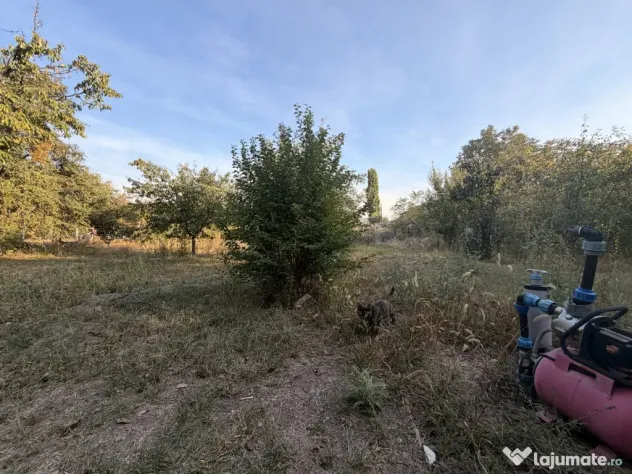Casa individuala 110 mp utili, 1487 mp teren - Zona Blascovi - Timisoara (Timis)