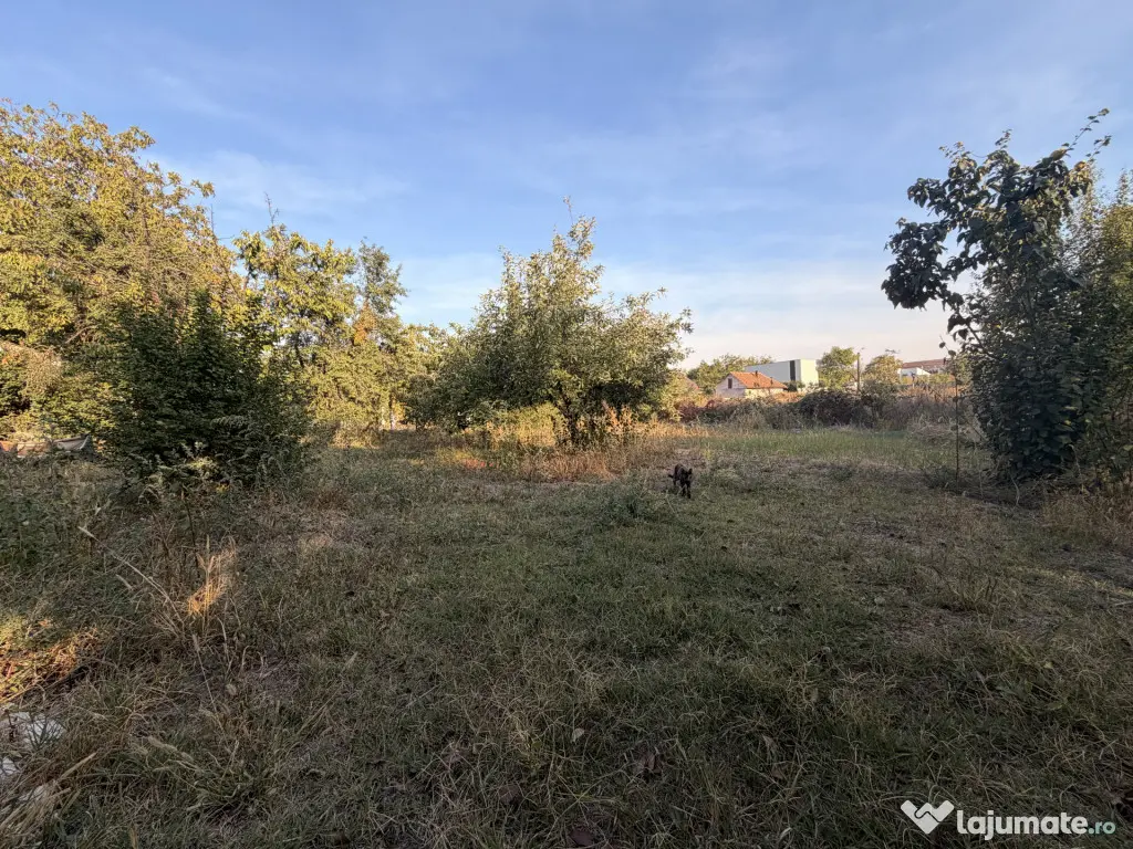 Casa individuala 110 mp utili, 1487 mp teren - Zona Blascovi - Timisoara (Timis)