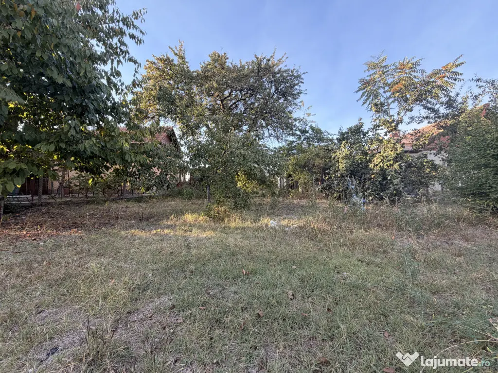 Casa individuala 110 mp utili, 1487 mp teren - Zona Blascovi - Timisoara (Timis)