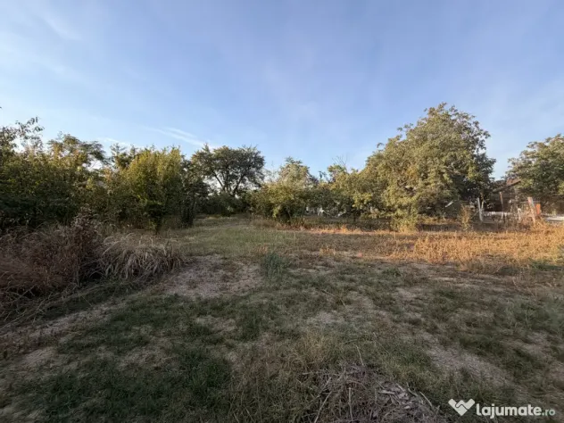 Casa individuala 110 mp utili, 1487 mp teren - Zona Blascovi - Timisoara (Timis)