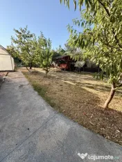 Casa individuala in vatra veche - Giarmata Mare 