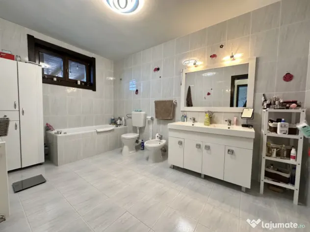 Casa individuală cu 9 camere, 1600 mp teren, 300 mp utili - - Sanandrei (Timis)