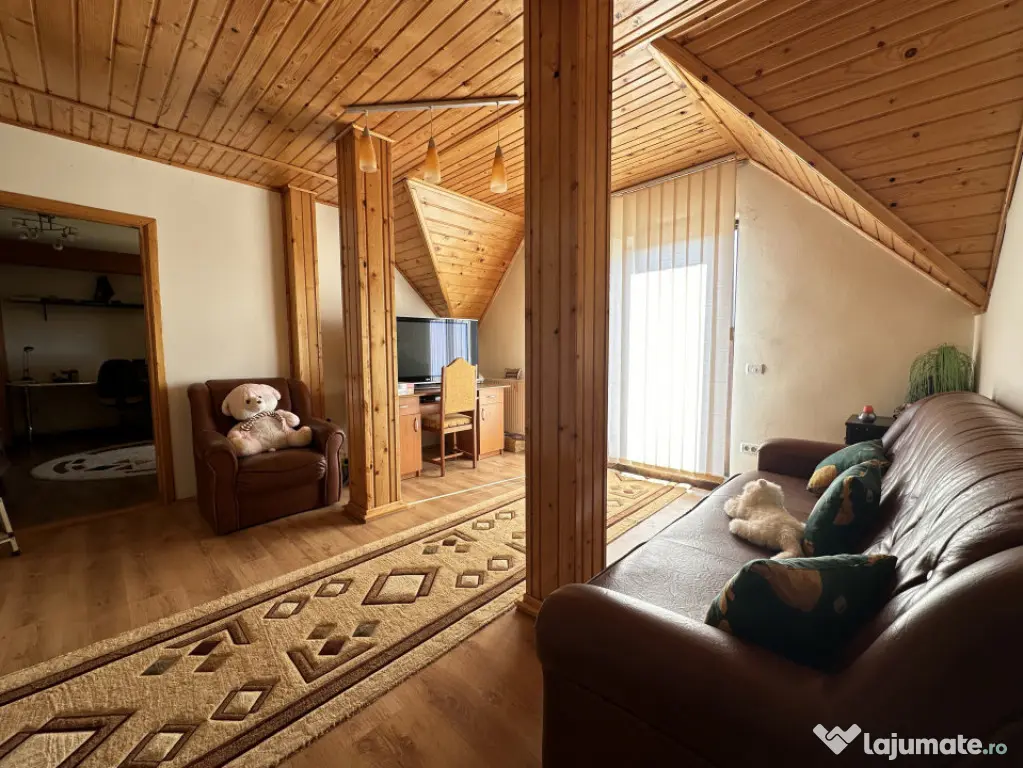 Casa individuală cu 9 camere, 1600 mp teren, 300 mp utili - - Sanandrei (Timis)