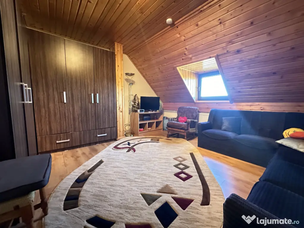 Casa individuală cu 9 camere, 1600 mp teren, 300 mp utili - - Sanandrei (Timis)