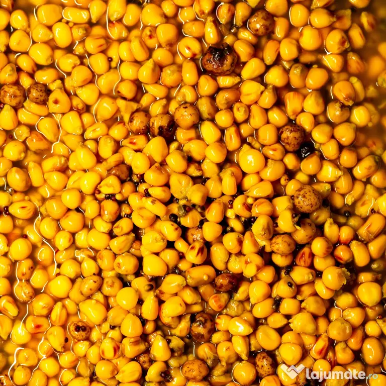 SENZOR PLANET SEMIX SEMINTE PREPARATE NATURAL 3kg