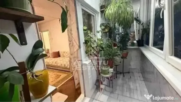 Apartament cu 2 camere de inchiriat-petfriendly, zona Aradului - Timisoara (Timis)