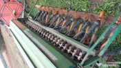 Semanatoare Amazone 3 m 