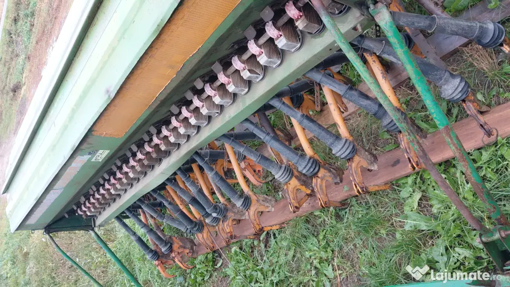 Semanatoare Amazone 3 m