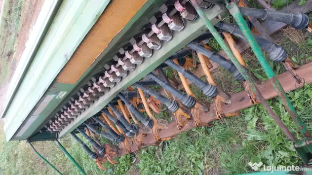 Semanatoare Amazone 3 m