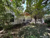 Vilă interbelică unică 300mpu curte generoasă 1064mp Bld Castanilor