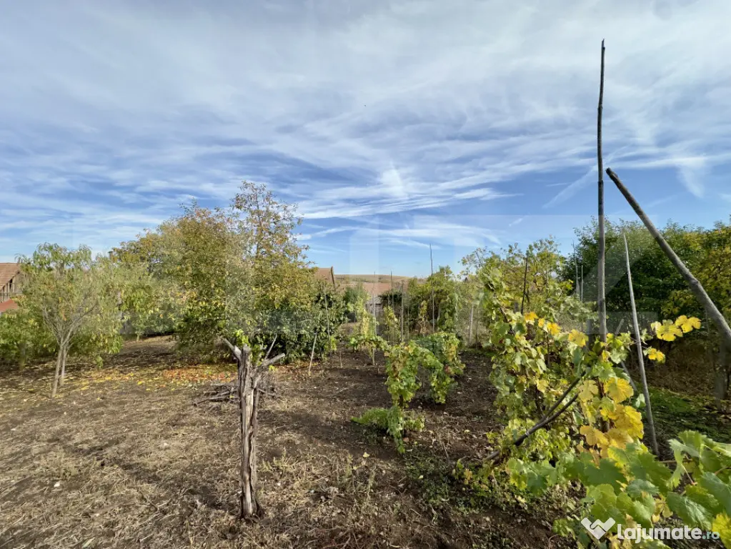 ???? Casă de vânzare în Cut, județul Alba – liniște, - Sebes (Alba)