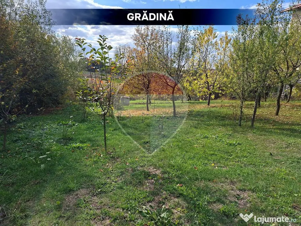 GOSPODARIE de vanzare- Finteusul Mic - Finteusu Mic (Maramures)