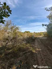 Teren intravilan 5.000 mp | Deschidere 60 m | Potential inve 