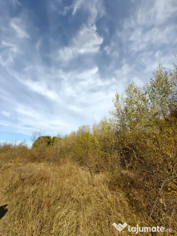 Teren intravilan 5.000 mp | Deschidere 60 m | Potential inve - Babana (Arges)