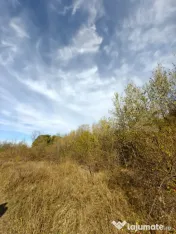 Teren intravilan 5.000 mp | Deschidere 60 m | Potential inve 