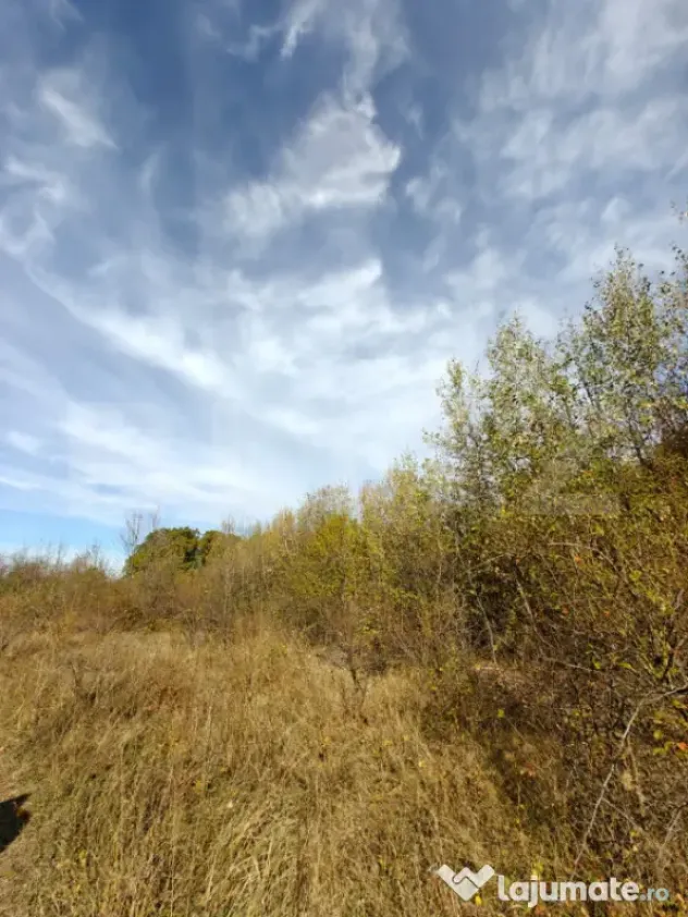 Teren intravilan 5.000 mp | Deschidere 60 m | Potential inve - Babana (Arges)