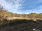 Teren intravilan 5.000 mp | Deschidere 60 m | Potential inve 