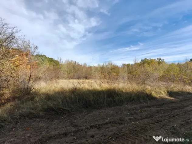 Teren intravilan 5.000 mp | Deschidere 60 m | Potential inve - Babana (Arges)
