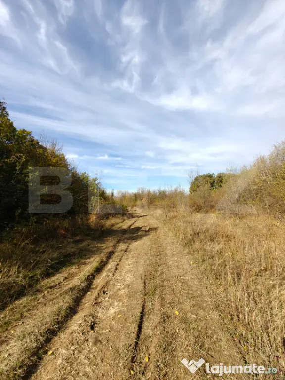 Teren intravilan 5.000 mp | Deschidere 60 m | Potential inve - Babana (Arges)