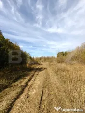Teren intravilan 5.000 mp | Deschidere 60 m | Potential inve 