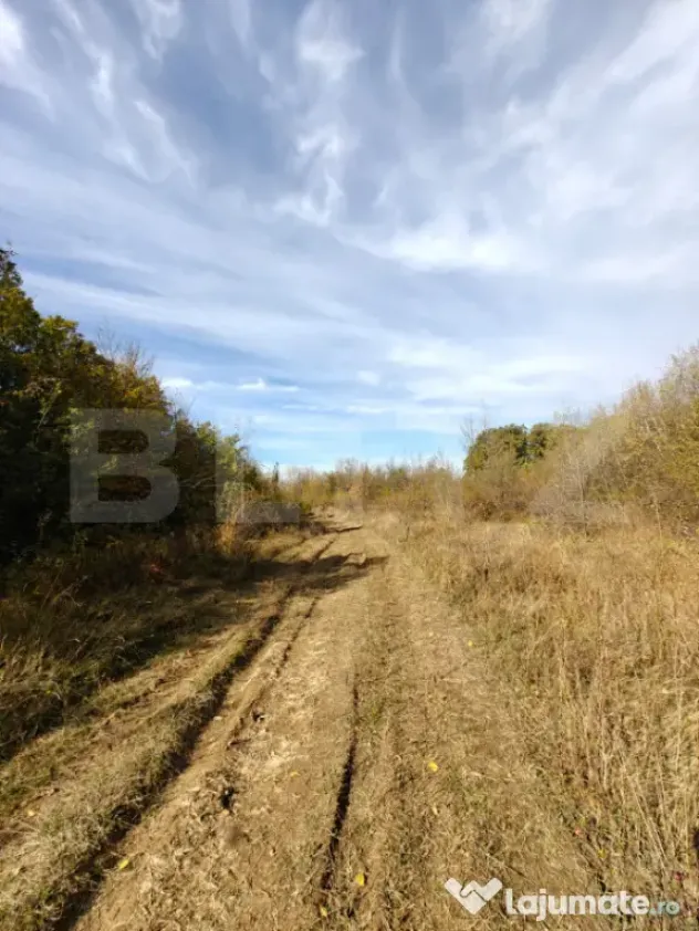 Teren intravilan 5.000 mp | Deschidere 60 m | Potential inve - Babana (Arges)