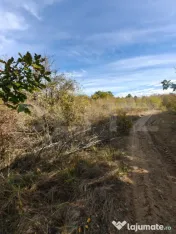 Teren intravilan 5.000 mp | Deschidere 60 m | Potential inve 