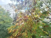 Apartament de inchiriat - Berceni - Emil Racoviță
