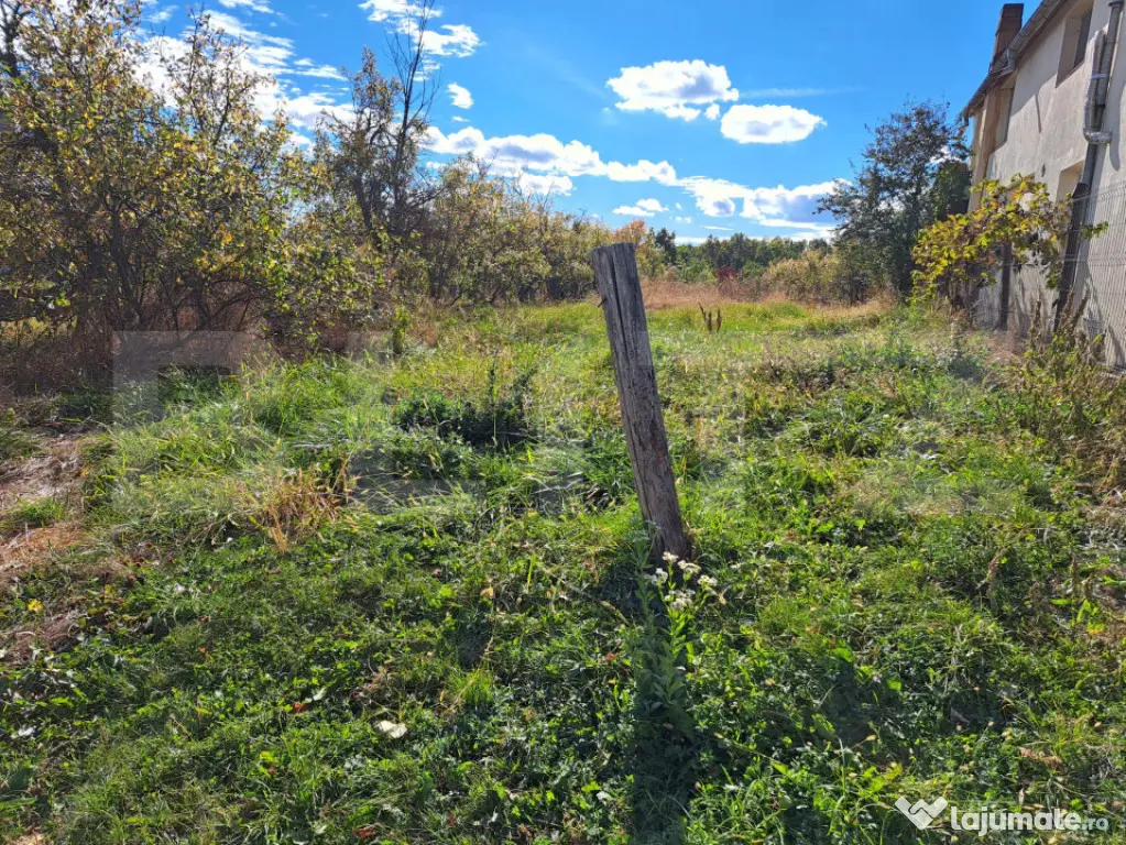 Teren intravilan 2.992 mp | Utilitati la proprietate | Poten - Babana (Arges)