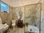 Casa individuala de vanzare, 320 mp teren, Sagului, Timisoara