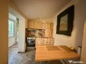 Casa individuala de vanzare, 320 mp teren, Sagului, Timisoara 