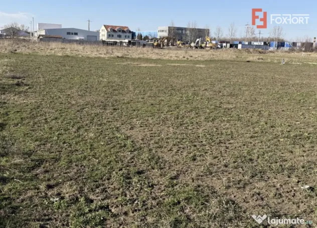 Teren intravilan curtii constructii zona industriala - Calea - Timisoara (Timis)