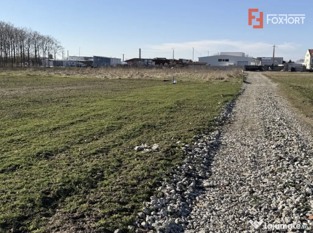 Teren intravilan curtii constructii zona industriala - Calea - Timisoara (Timis)