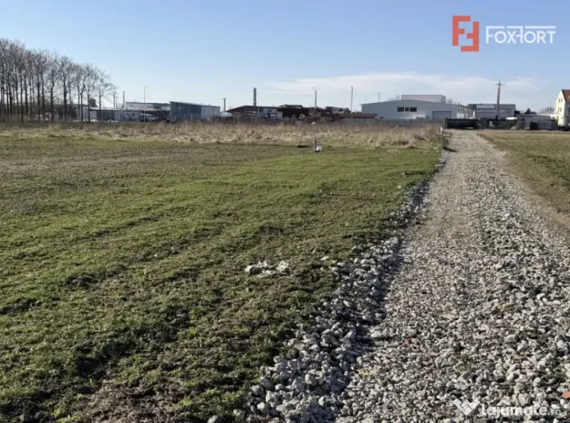 Teren intravilan curtii constructii zona industriala - Calea - Timisoara (Timis)