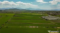 FILM! Teren extravilan 5.000 mp in zona linistita cu acces f 