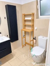 Ap 2 camere | BALCON | Platinia Dorobantilor