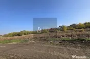 Teren intravilan casa 500mp -curent si gaze trase - Frumusani /Pasarea 