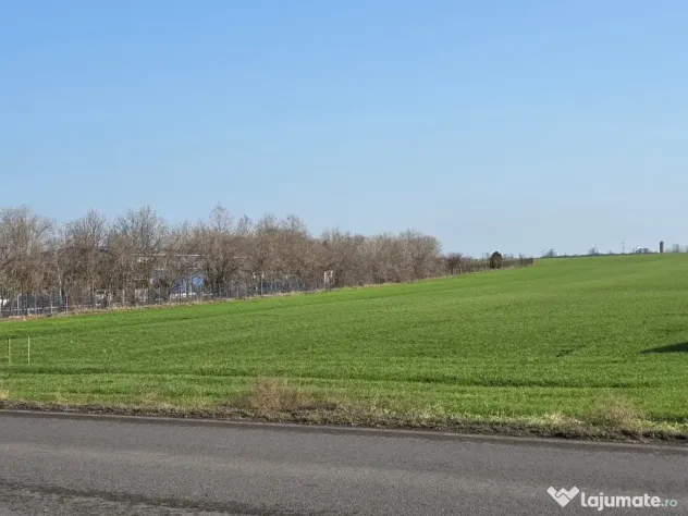 Teren de vanzare in Agigea la DN 38 zona Registrul Auto - Agigea (Constanta)