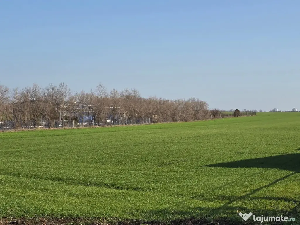Teren de vanzare in Agigea la DN 38 zona Registrul Auto - Agigea (Constanta)